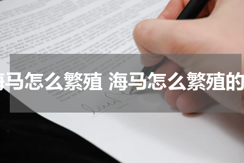 海马怎么繁殖 海马怎么繁殖的