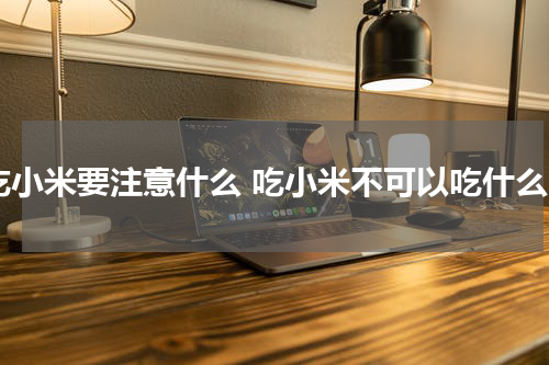 吃小米要注意什么 吃小米不可以吃什么