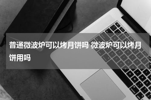 普通微波炉可以烤月饼吗 微波炉可以烤月饼用吗