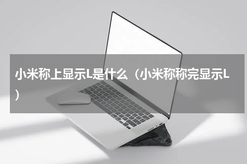 小米称上显示L是什么（小米称称完显示L）