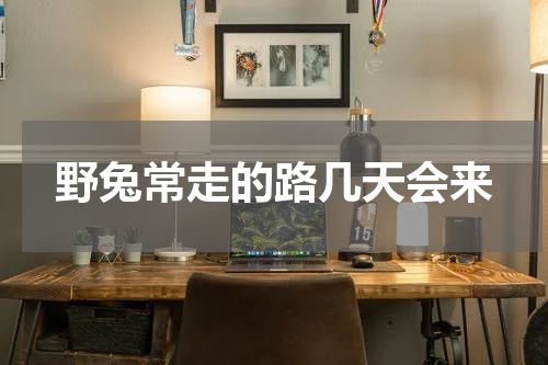 野兔常走的路几天会来