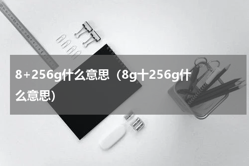8+256g什么意思（8g十256g什么意思）