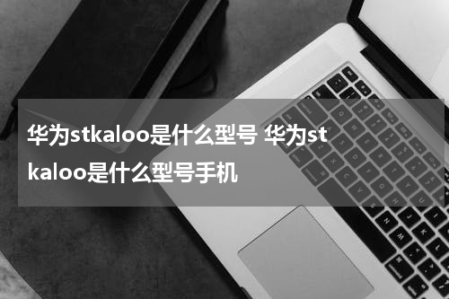 华为stkaloo是什么型号 华为stkaloo是什么型号手机
