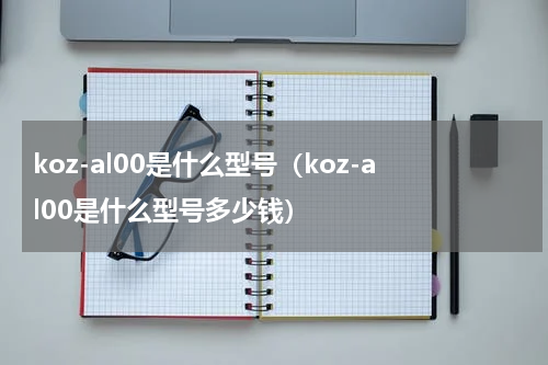 koz-al00是什么型号（koz-al00是什么型号多少钱）