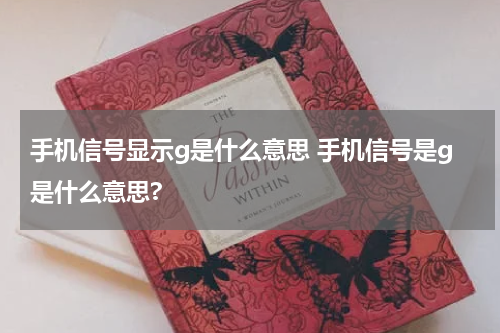 手机信号显示g是什么意思 手机信号是g是什么意思?