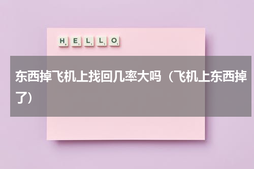 东西掉飞机上找回几率大吗（飞机上东西掉了）