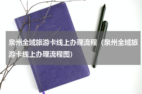 泉州全域旅游卡线上办理流程（泉州全域旅游卡线上办理流程图）
