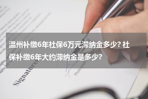 温州补缴6年社保6万元滞纳金多少? 社保补缴6年大约滞纳金是多少?