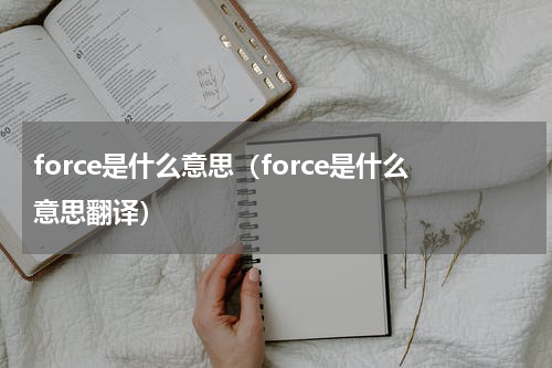 force是什么意思（force是什么意思翻译）