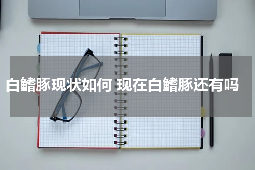 白鳍豚现状如何 现在白鳍豚还有吗