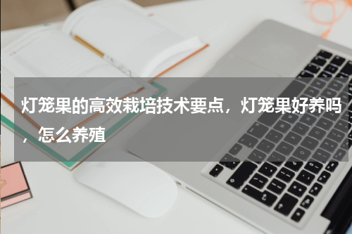 灯笼果的高效栽培技术要点，灯笼果好养吗，怎么养殖