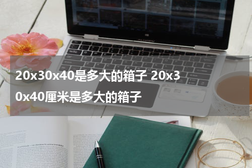 20x30x40是多大的箱子 20x30x40厘米是多大的箱子