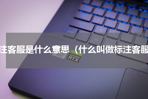 标注客服是什么意思（什么叫做标注客服）