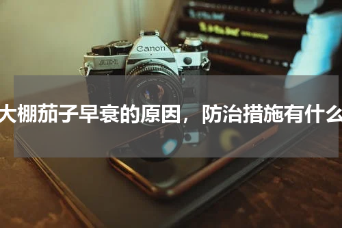 大棚茄子早衰的原因，防治措施有什么
