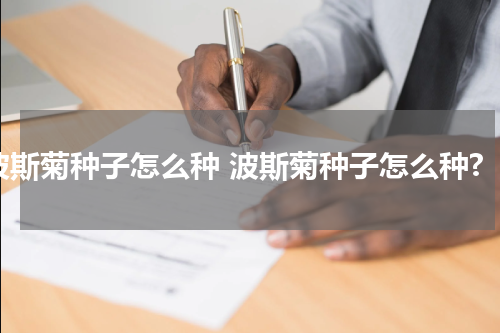 波斯菊种子怎么种 波斯菊种子怎么种?