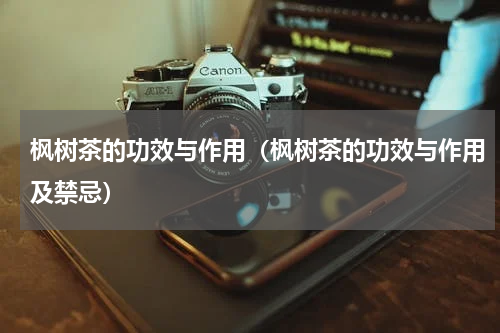 枫树茶的功效与作用（枫树茶的功效与作用及禁忌）
