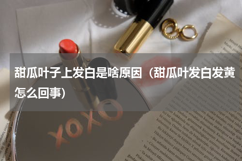 甜瓜叶子上发白是啥原因（甜瓜叶发白发黄怎么回事）