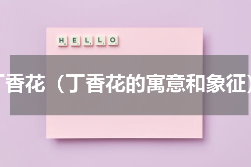 丁香花（丁香花的寓意和象征）