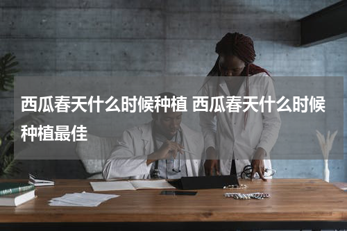 西瓜春天什么时候种植 西瓜春天什么时候种植最佳