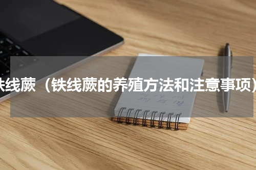 铁线蕨（铁线蕨的养殖方法和注意事项）