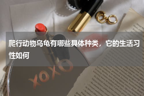 爬行动物乌龟有哪些具体种类，它的生活习性如何