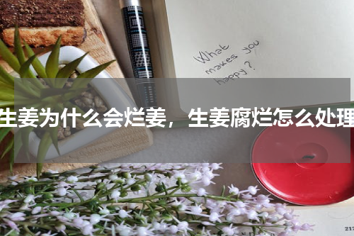 生姜为什么会烂姜，生姜腐烂怎么处理