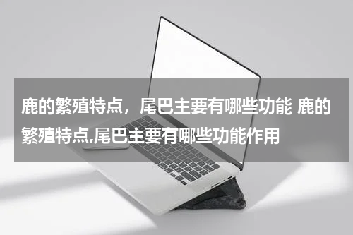 鹿的繁殖特点，尾巴主要有哪些功能 鹿的繁殖特点,尾巴主要有哪些功能作用