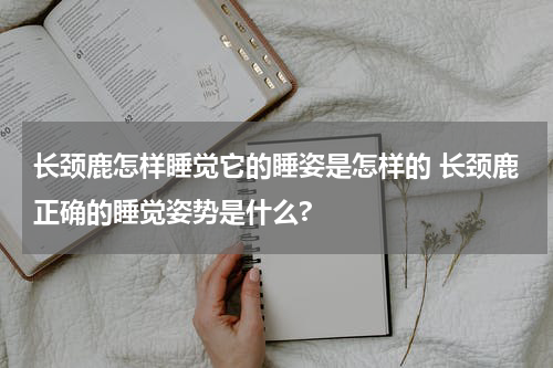 长颈鹿怎样睡觉它的睡姿是怎样的 长颈鹿正确的睡觉姿势是什么?