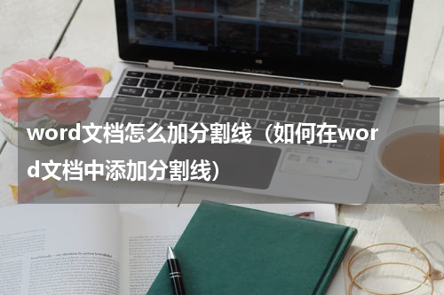 word文档怎么加分割线（如何在word文档中添加分割线）