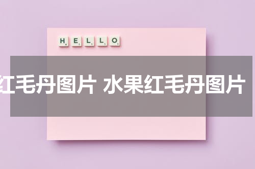红毛丹图片 水果红毛丹图片