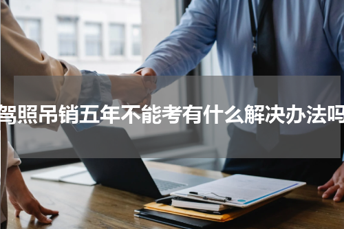 驾照吊销五年不能考有什么解决办法吗