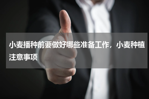 小麦播种前要做好哪些准备工作，小麦种植注意事项