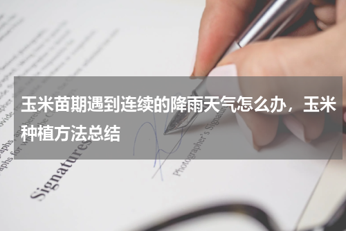 玉米苗期遇到连续的降雨天气怎么办，玉米种植方法总结