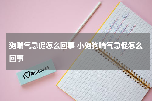 狗喘气急促怎么回事 小狗狗喘气急促怎么回事