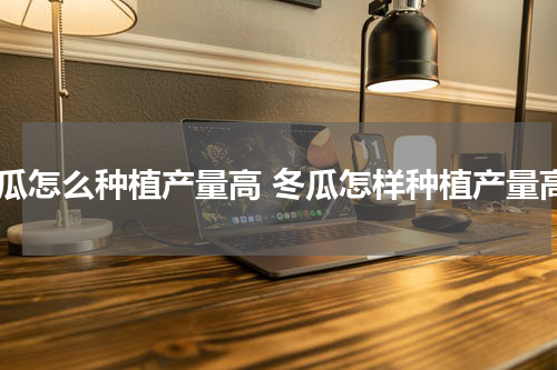 冬瓜怎么种植产量高 冬瓜怎样种植产量高