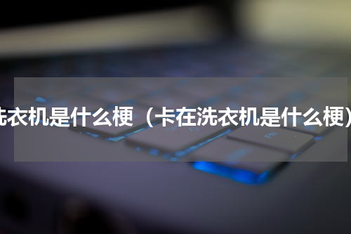 洗衣机是什么梗（卡在洗衣机是什么梗）