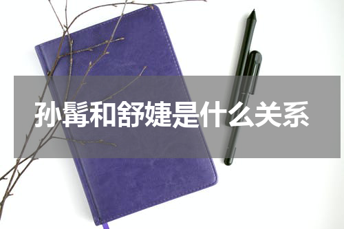 孙髯和舒婕是什么关系