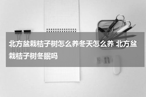 北方盆栽桔子树怎么养冬天怎么养 北方盆栽桔子树冬眠吗