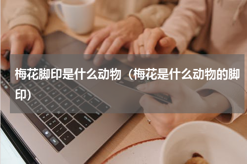 梅花脚印是什么动物（梅花是什么动物的脚印）