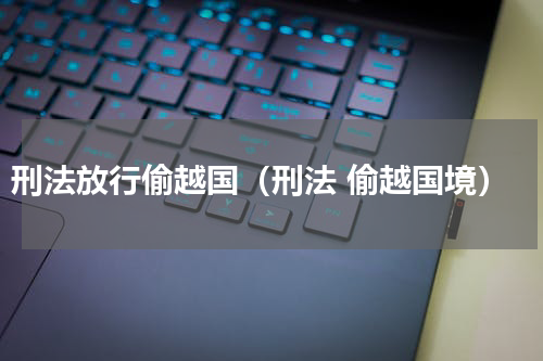 刑法放行偷越国（刑法 偷越国境）