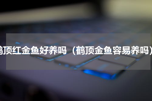 鹤顶红金鱼好养吗（鹤顶金鱼容易养吗）