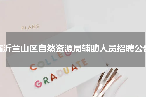 临沂兰山区自然资源局辅助人员招聘公告
