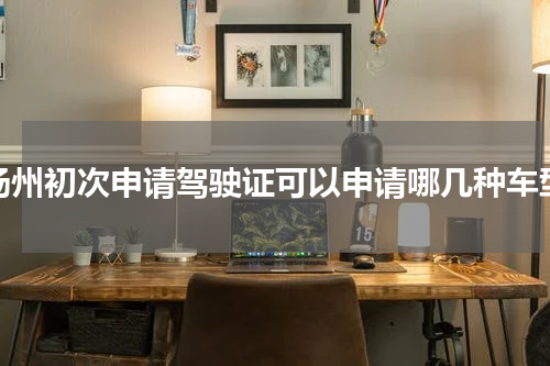 扬州初次申请驾驶证可以申请哪几种车型
