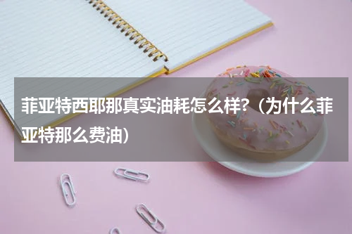 菲亚特西耶那真实油耗怎么样?（为什么菲亚特那么费油）
