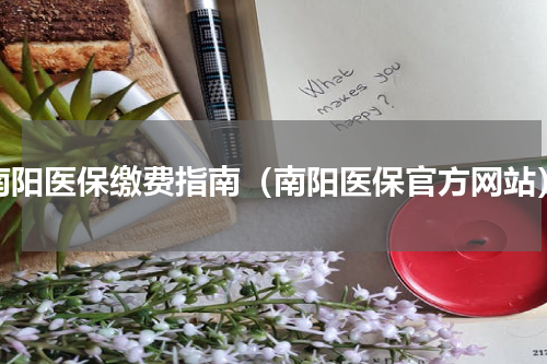南阳医保缴费指南（南阳医保官方网站）
