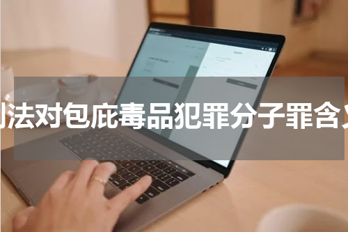 刑法对包庇毒品犯罪分子罪含义