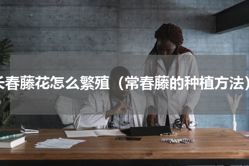 长春藤花怎么繁殖（常春藤的种植方法）