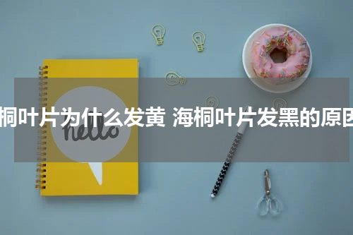 海桐叶片为什么发黄 海桐叶片发黑的原因