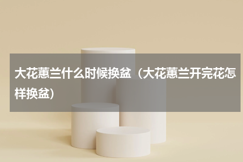 大花蕙兰什么时候换盆（大花蕙兰开完花怎样换盆）