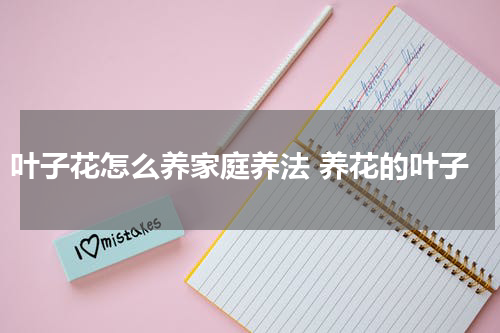 叶子花怎么养家庭养法 养花的叶子